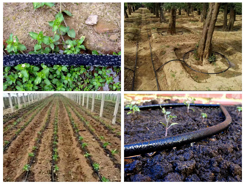 Come viene utilizzato il tubo di gomma per l'irrigazione?