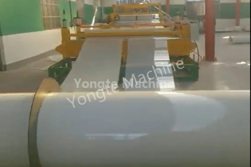 Macchina per estrusione di fogli sottili in PE installata in Cina